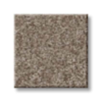 Shaw Verrazzano Bridge Hot Cider Texture Carpet with Pet Perfect-Sample